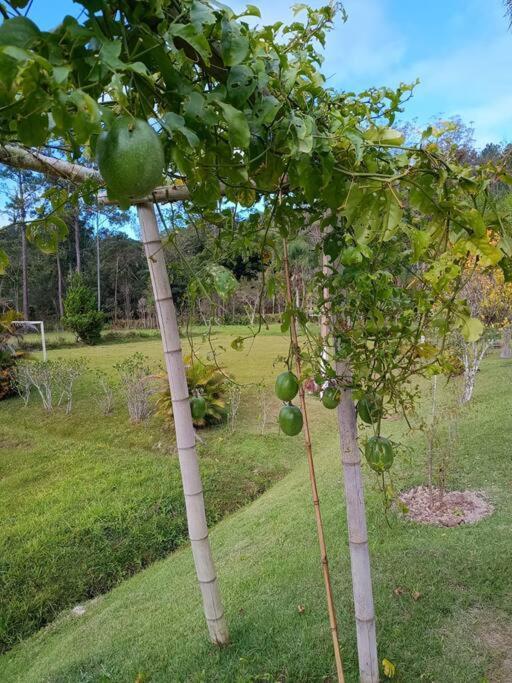 Sitio Paraiso Verde Juquitiba Kültér fotó
