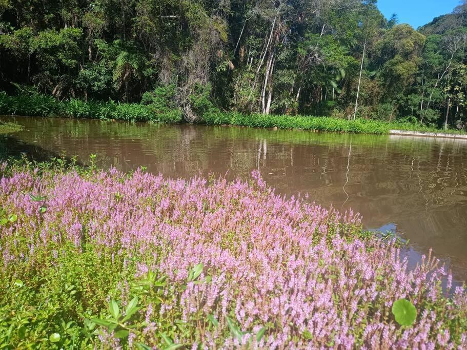 Sitio Paraiso Verde Juquitiba Kültér fotó