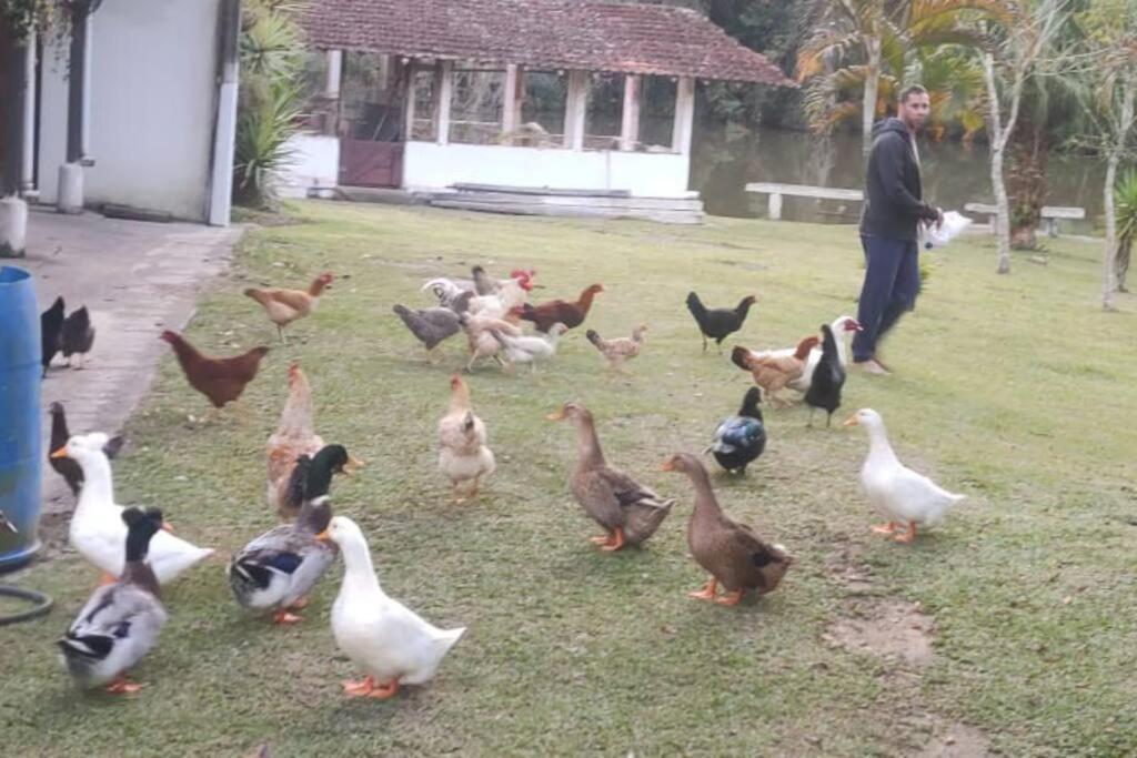 Sitio Paraiso Verde Juquitiba Kültér fotó