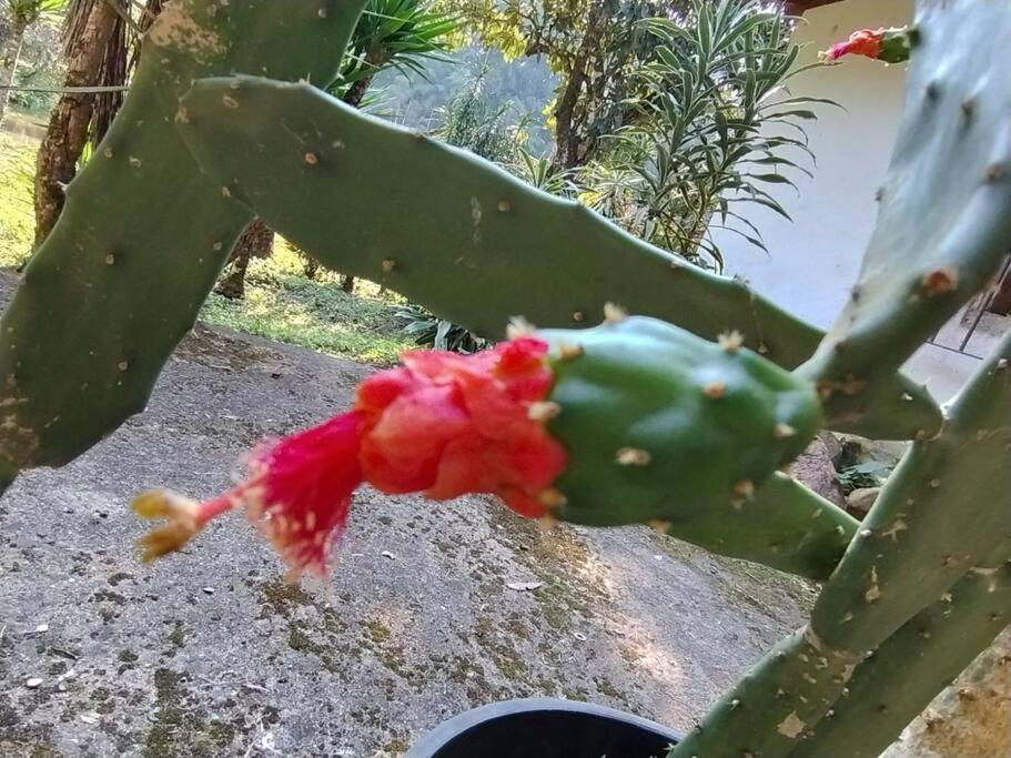 Sitio Paraiso Verde Juquitiba Kültér fotó