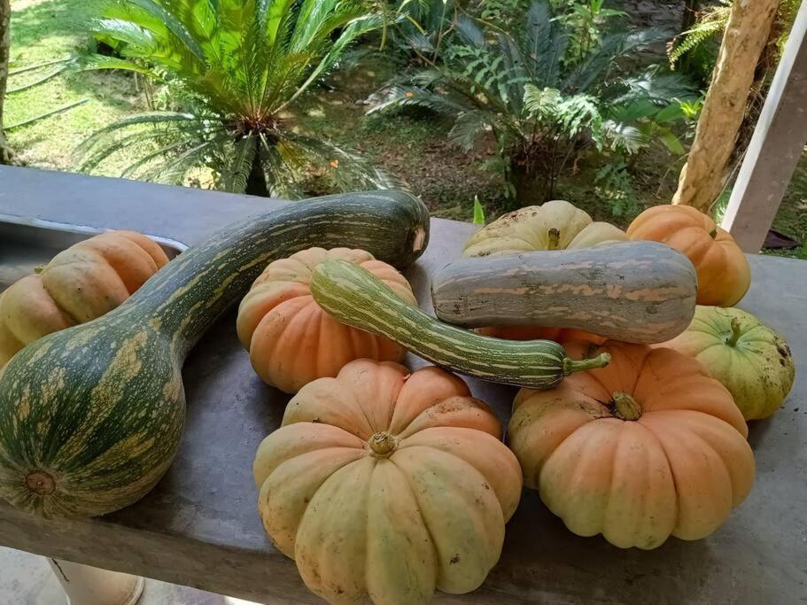 Sitio Paraiso Verde Juquitiba Kültér fotó