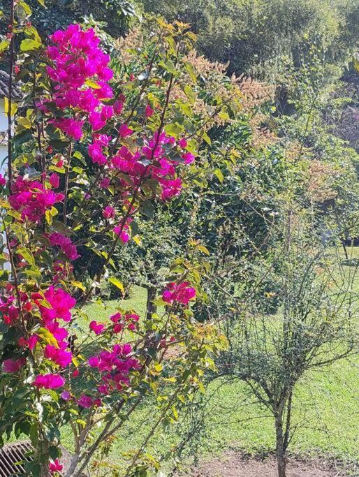 Sitio Paraiso Verde Juquitiba Kültér fotó